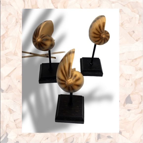 Shell Decor - Picture 4 of 8